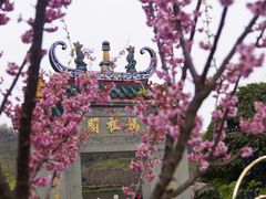 -重庆园博园