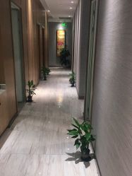 点击看大图 -苑苑vbeauty科技美容SPA