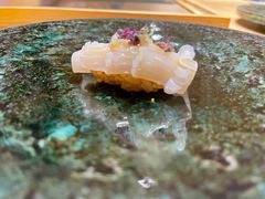 枪乌贼-鮨青(恒基名人购物中心店)