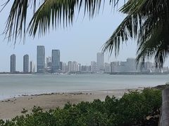 -万绿园