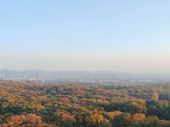 -灵谷景区