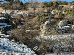 -北京西山国家森林公园