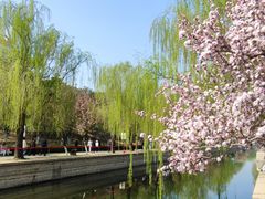 -元大都城垣遗址公园