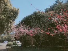 -上海市龙华烈士陵园