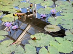 -国家植物园南园