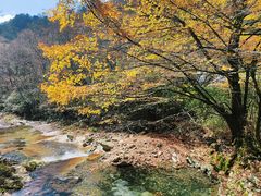 -光雾山旅游景区