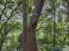 -北极阁公园