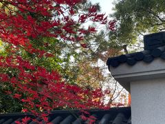 -浙江西子宾馆·瑶园咖啡厅