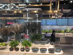 -金滏山烤肉·海鲜·火锅自助餐厅(襄阳万达店)