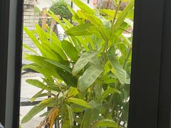 -老友王·南宁特色菜(金汇如意坊店)