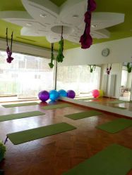 -一花一叶瑜伽生活馆