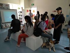 -瑞派·关忠动物医院·异宠专科·犬猫肿瘤·皮肤专科(望京店)