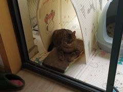 -联合动物医院(光谷诊疗中心)