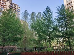 -北京亚运村国家会议中心亚朵酒店