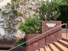 -香港大学