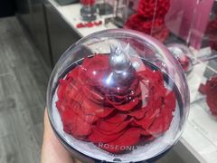 -ROSEONLY诺誓(沈阳万象城店)