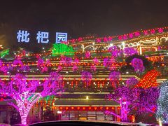 -枇杷园食为鲜火锅(南山店)