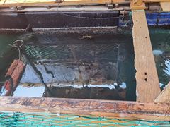 -蓝湾碧波·老字号·疍家非遗海上餐厅