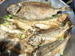 -东江海鲜大排档·潮汕菜·砂锅粥