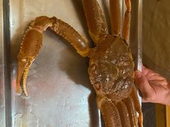 -綱元·海鲜豆捞(明州里店)