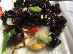 -蒲园食堂(中山大学广州校区南校园店)