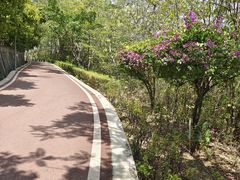 -攀枝花公园