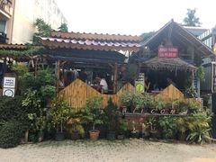 -Jungle Kitchen