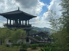 -大唐贡茶院