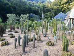 -深圳仙湖植物园