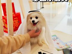 -金茂览秀城