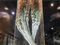 -广东中医药博物馆
