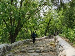 -阳台山自然风景区