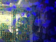 iphone_upload_pic-官也街澳门火锅(新源里店)