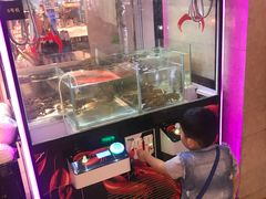 -爱玩嘉年华(成都北城天街店)