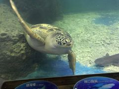 -上海长江河口科技馆