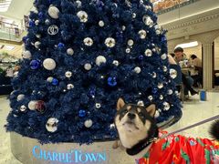 -CHARLIETOWN红茶公司(南京万象天地店)
