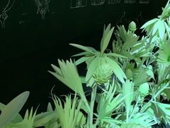 -西岸艺术中心·停车场