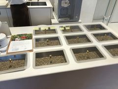 -% Arabica阿拉比卡咖啡(武汉天地店)