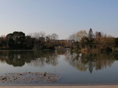 -新江湾城公园