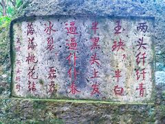 -桃花岛风景旅游区