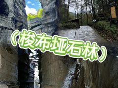 -梭布垭石林景区