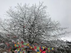 -硗碛藏寨·神木垒景区