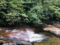 -龙苍沟森林公园