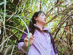 -青龙山国家森林公园