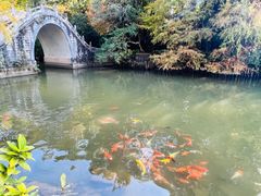 -深圳仙湖植物园