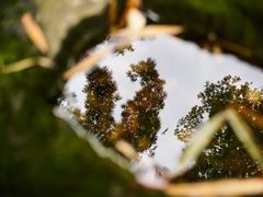 -成都杜甫草堂博物馆