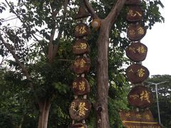 -傣泐金湾餐厅