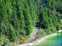 -武陵山森林公园