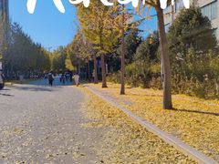 -中国政法大学(昌平校区)