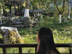 -墨池公园